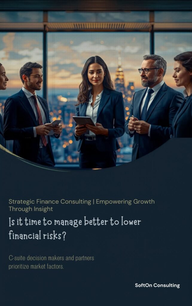 Strategic Finance Consulting
